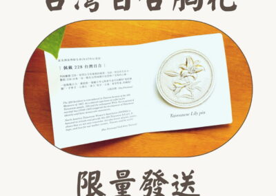 二二八綠豆潤與胸花