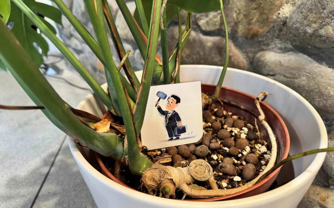《尋找阿南》：用圖卡玩轉公民教育