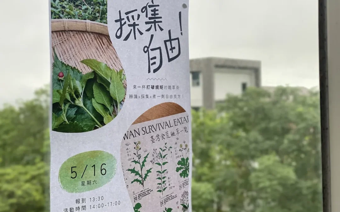 活動回顧：採集自由！來一杯打破規矩的雜草茶！